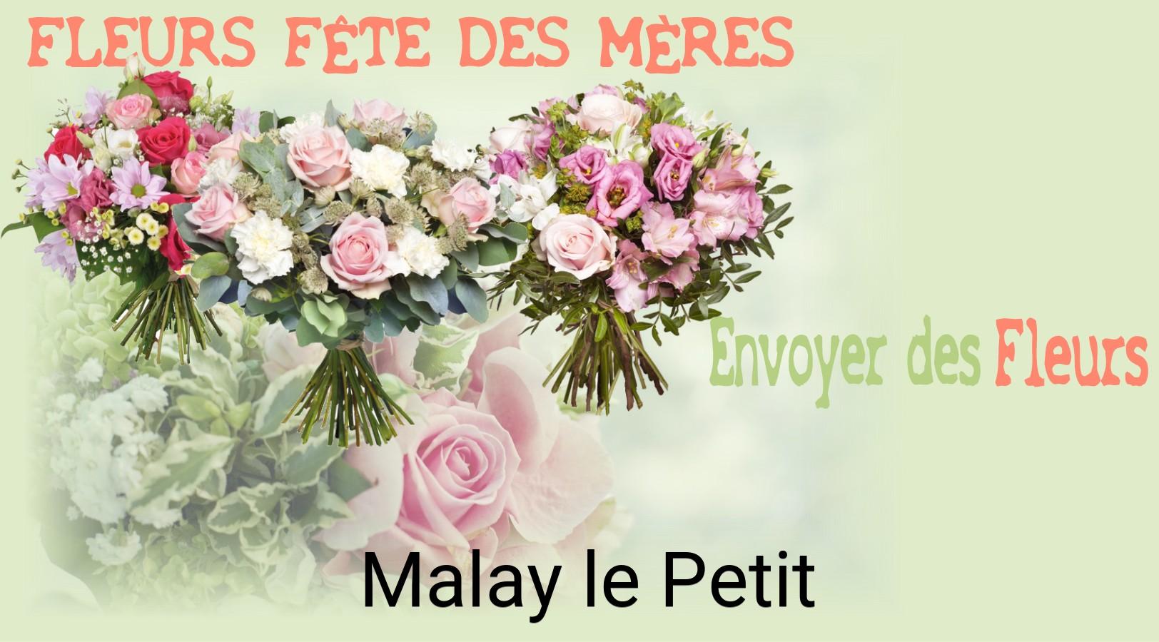 Bouquet de Fête des Mères livré à Malay-le-Petit